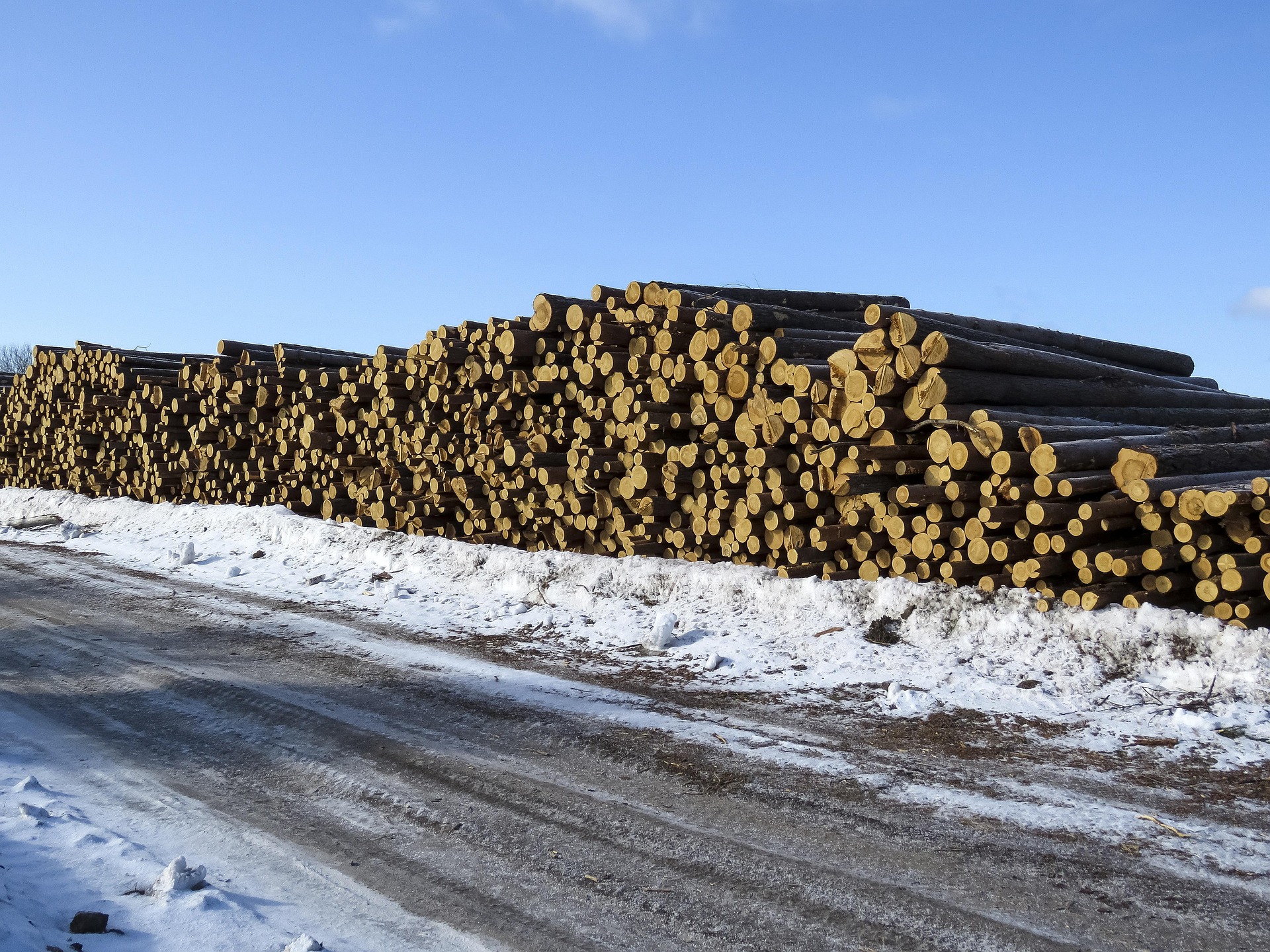 Rundholzeinkauf – Holzhandel Krainer